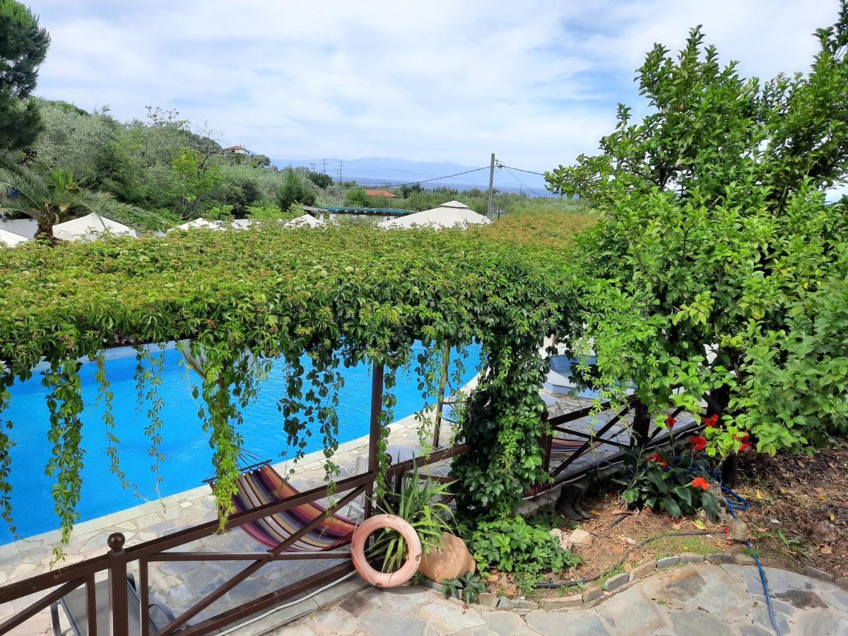 Seralis Pelion Afissos Exterior photo